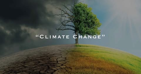 Climate Change - A Short Film [4K]