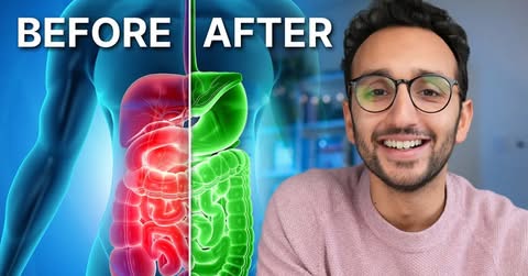 The Science of Gut Health (& Why It Matters)